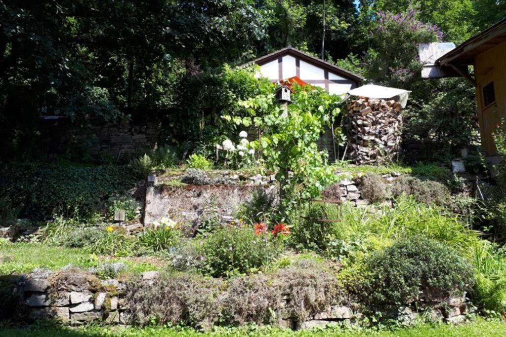 Eine Gemuetliche Ferienwohnung Mit Garten 巴特卡尔斯哈芬 外观 照片