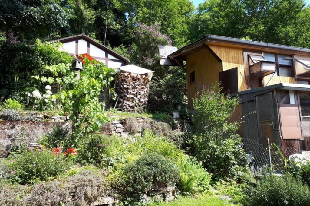 Eine Gemuetliche Ferienwohnung Mit Garten 巴特卡尔斯哈芬 外观 照片